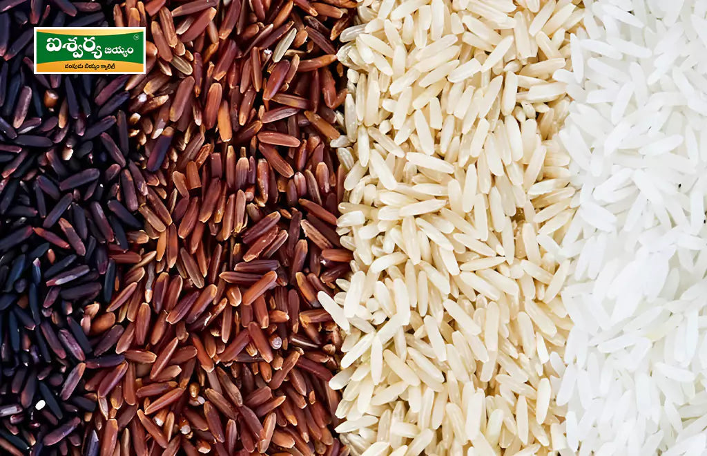 Colorful Rice Varieties, including Low-GI Rice